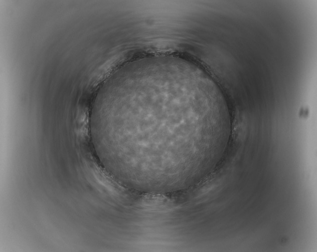 X0000114640866200910201440