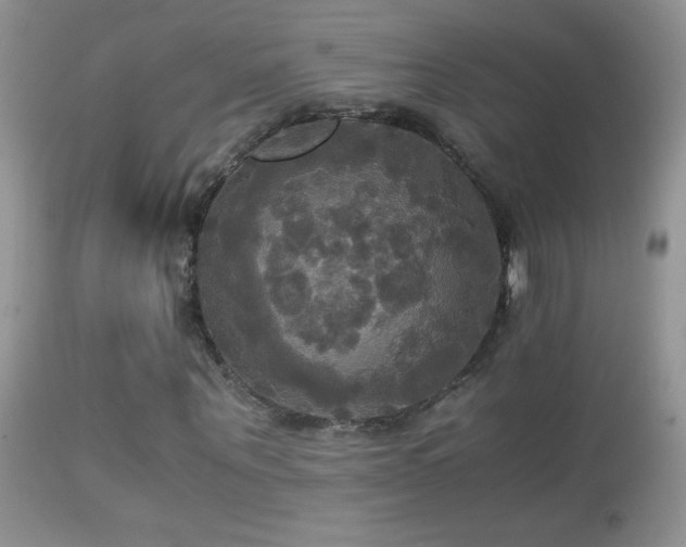 X0000114640867200910201440