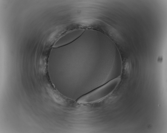 X0000114640868200910201440