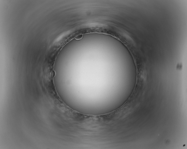 X0000114640869200910201440