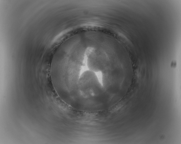 X0000114640870200910201440