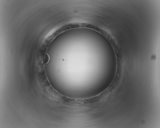 X0000114640871200910201440