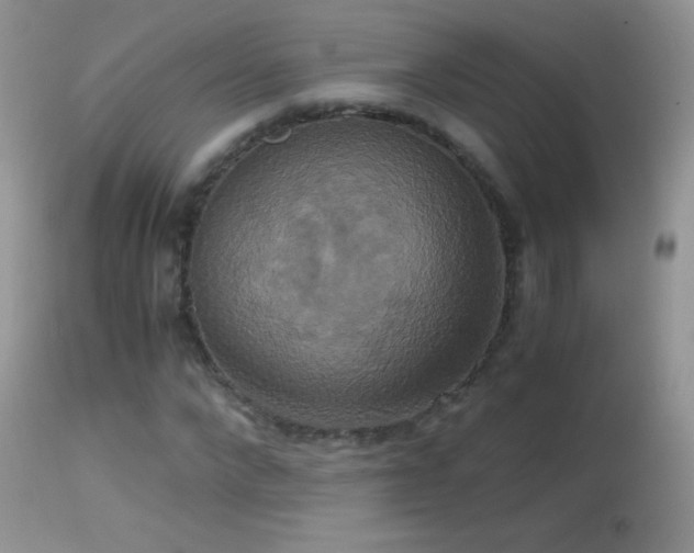 X0000114640872200910201440