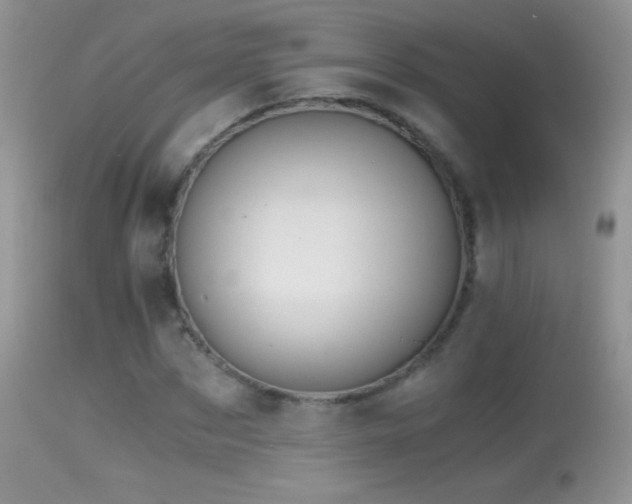 X0000114640873200910201440