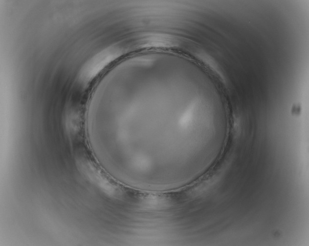X0000114640874200910201440