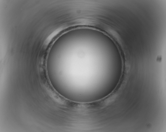 X0000114640875200910201440