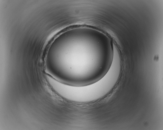 X0000114640876200910201440