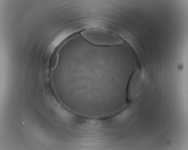 X0000114640877200910201440