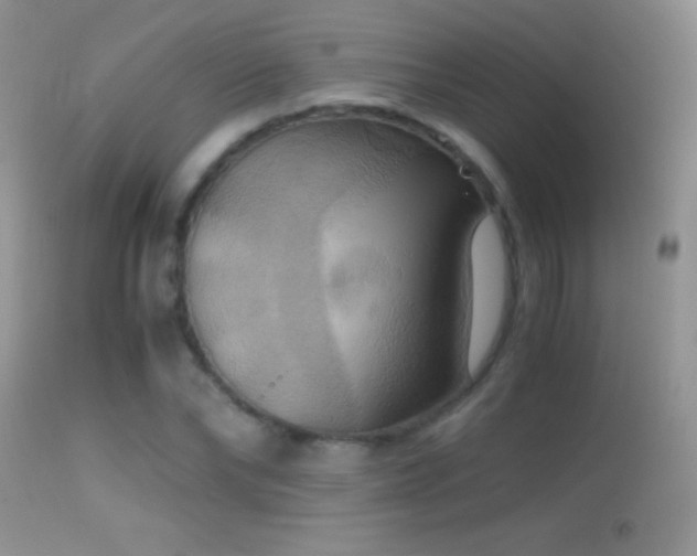X0000114640878200910201440