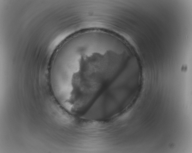 X0000114640879200910201440