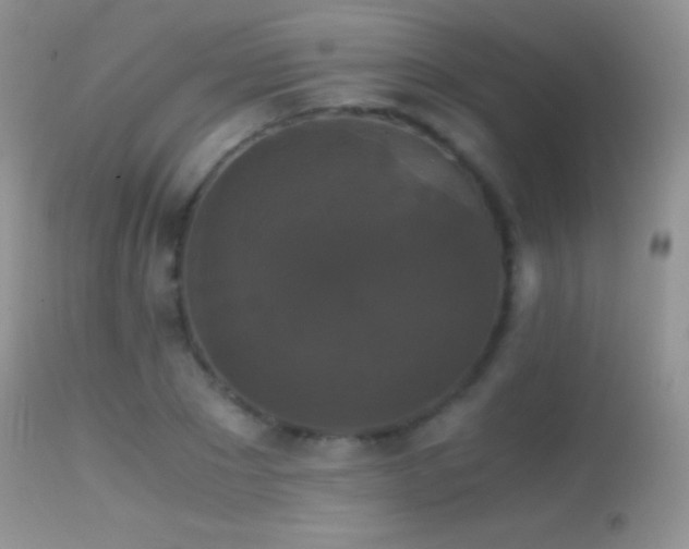 X0000114640881200910201440