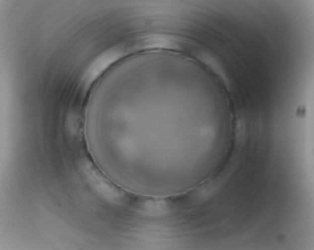 X0000114640882200910201440
