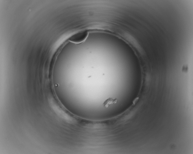 X0000114640884200910201440