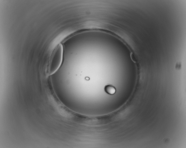 X0000114640885200910201440