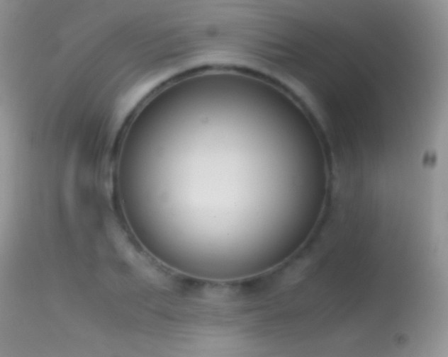 X0000114640887200910201440