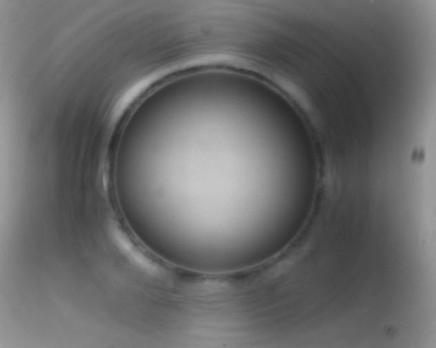 X0000114640888200910201440