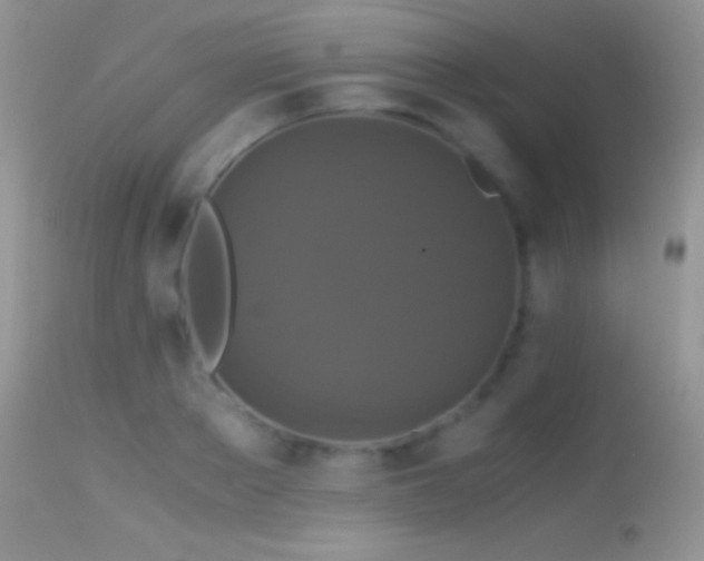 X0000114640889200910201440