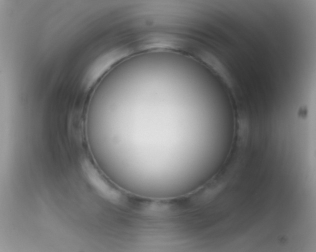 X0000114640890200910201440