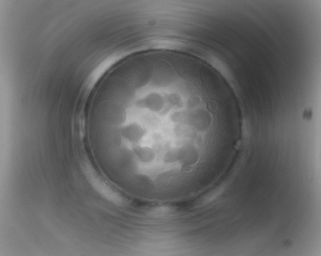X0000114640891200910201440