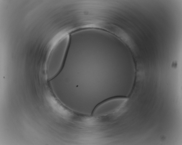 X0000114640892200910201440