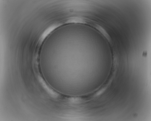 X0000114640893200910201440