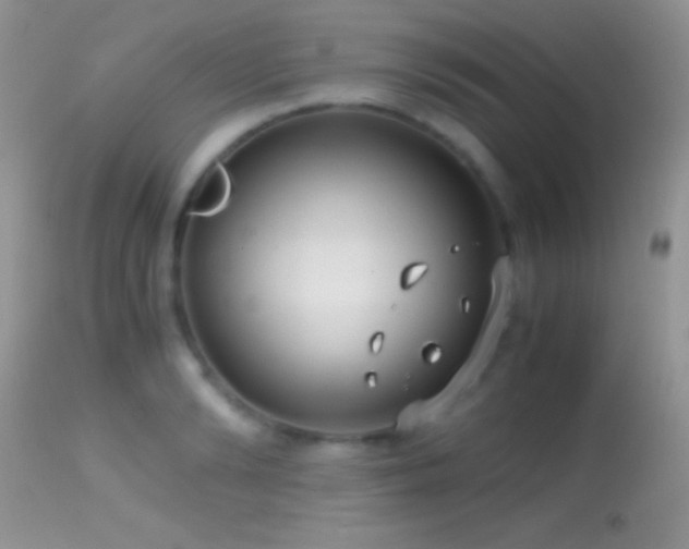 X0000114640894200910201440