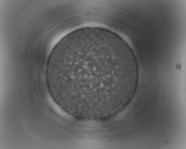 X0000114640895200910201440