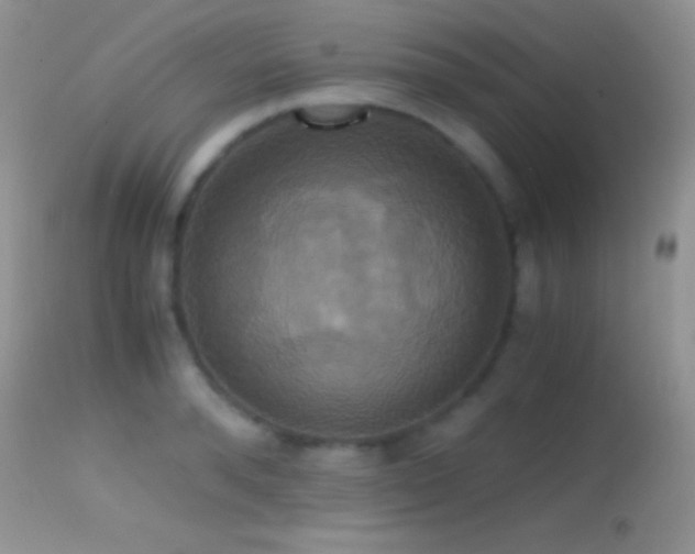 X0000114640896200910201440