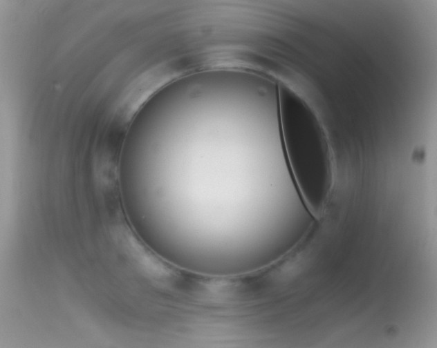 X0000114640897200910201440