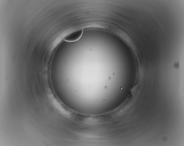 X0000114640898200910201440