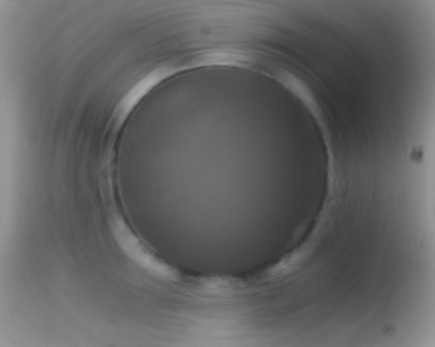 X0000114640899200910201440