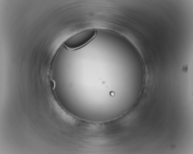 X0000114640901200910201440