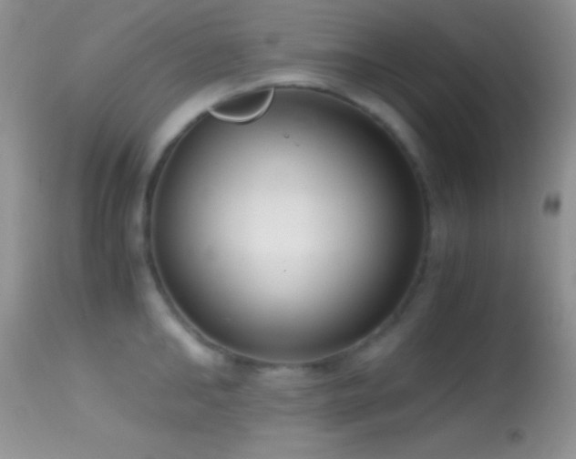 X0000114640902200910201440