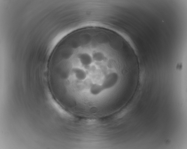 X0000114640903200910201440