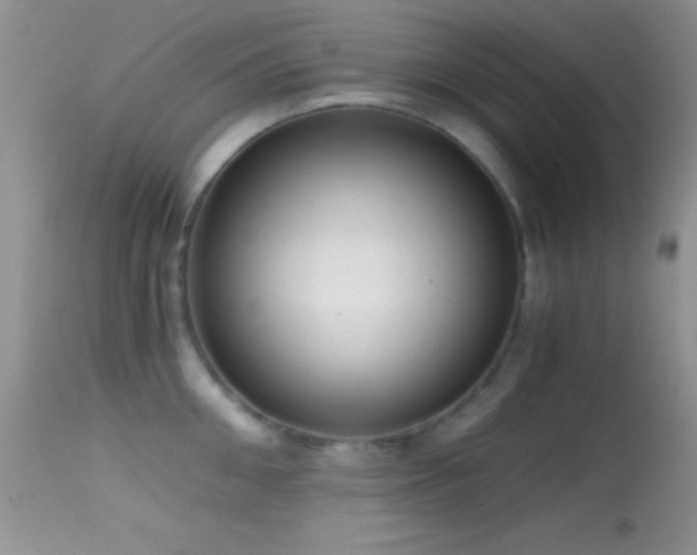 X0000114640906200910201440