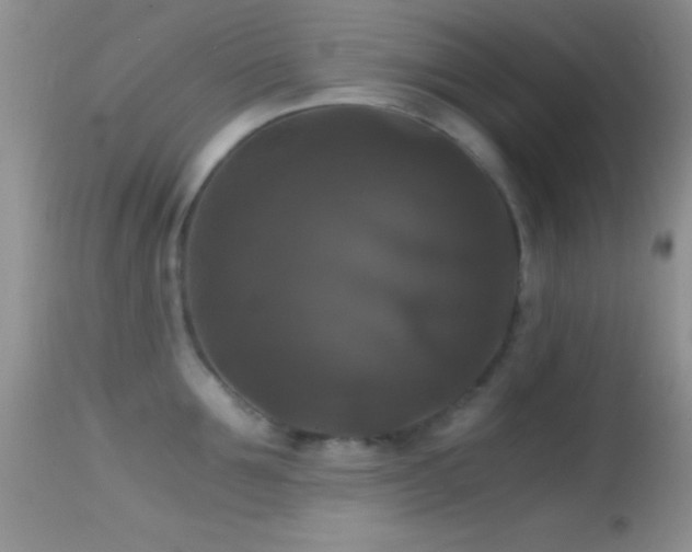 X0000114640907200910201440