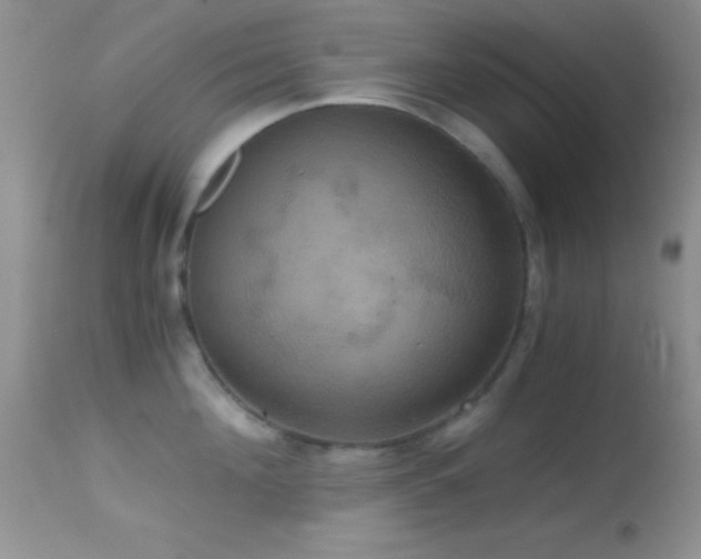 X0000114640908200910201440