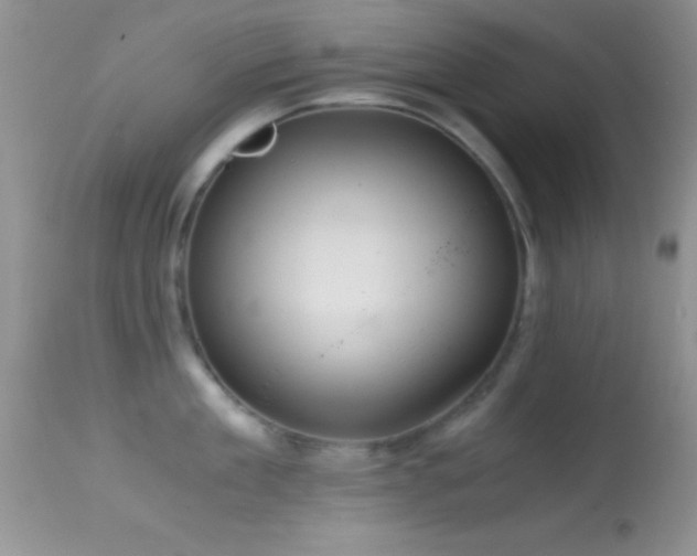 X0000114640909200910201440
