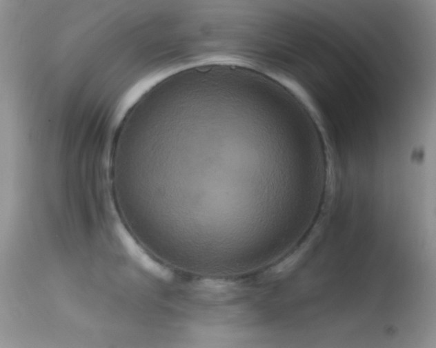 X0000114640910200910201440