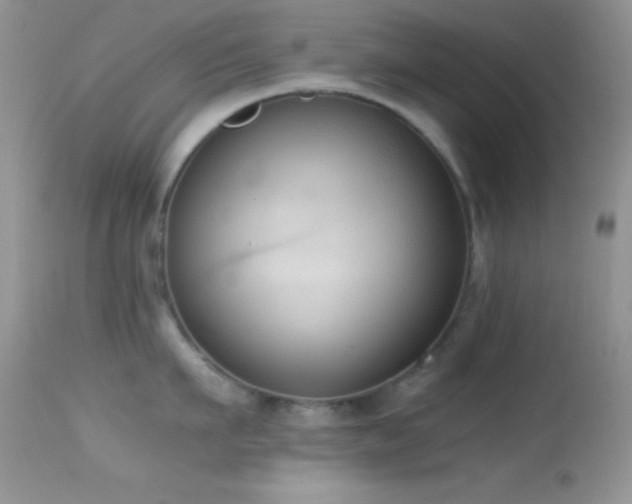 X0000114640911200910201440
