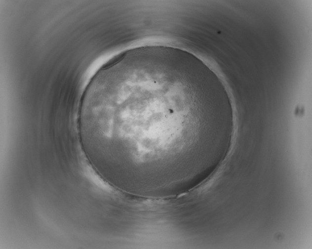 X0000114640912200910201440