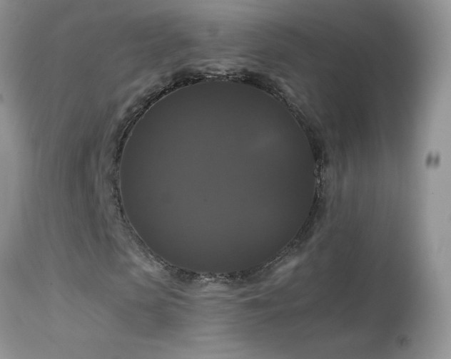 X0000114640913200910201439