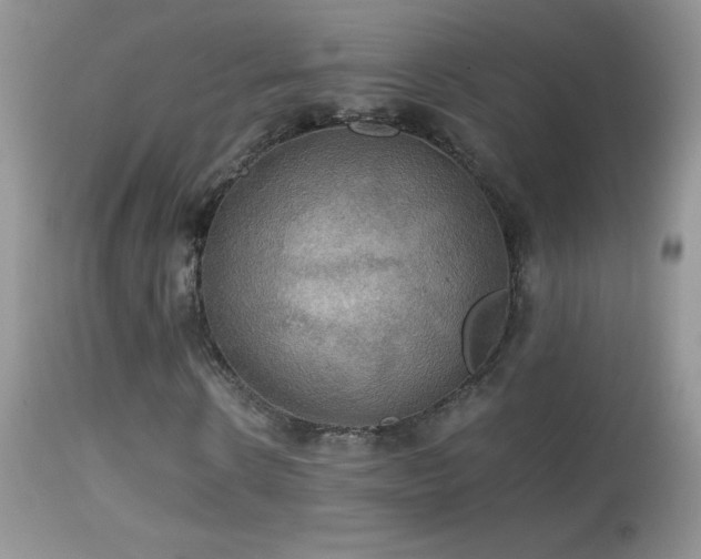X0000114640914200910201439