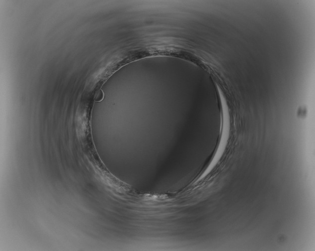 X0000114640915200910201439