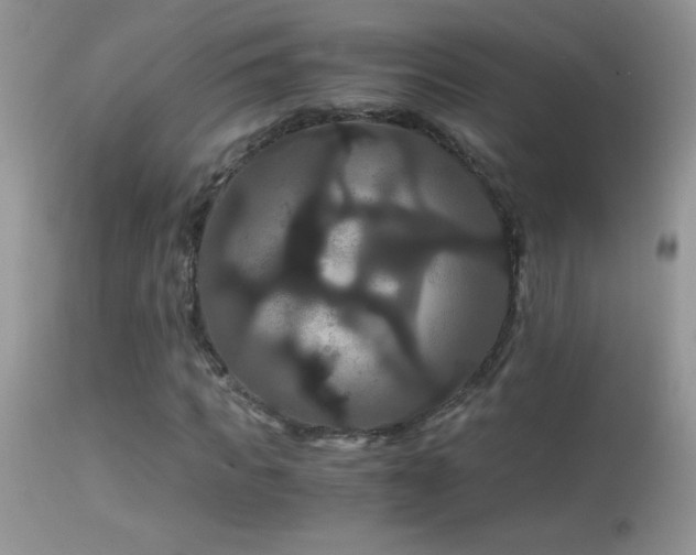 X0000114640917200910201439