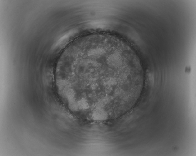 X0000114640918200910201439
