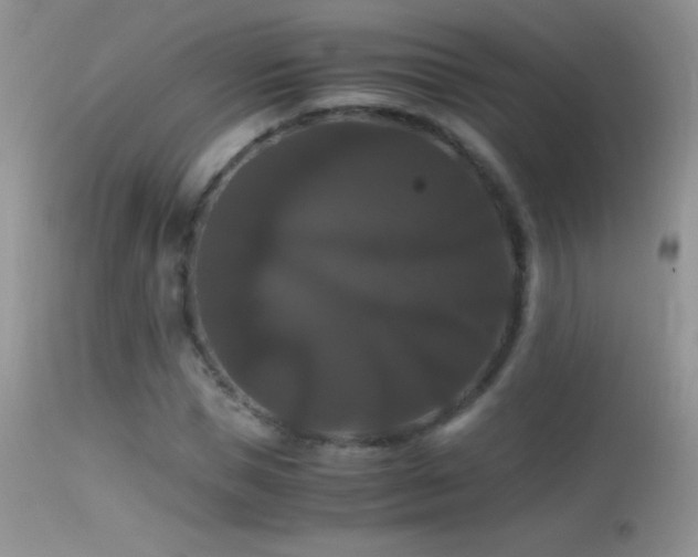 X0000114640921200910201439
