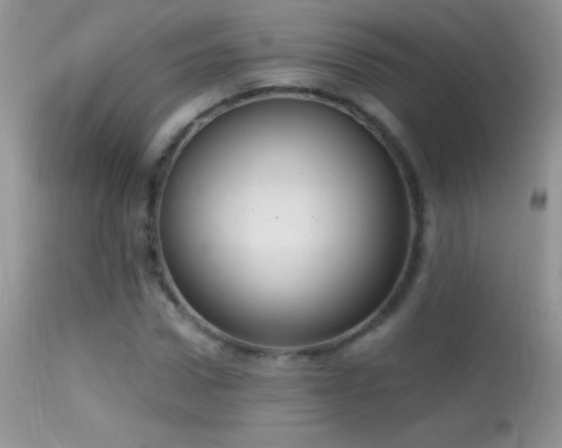 X0000114640922200910201439