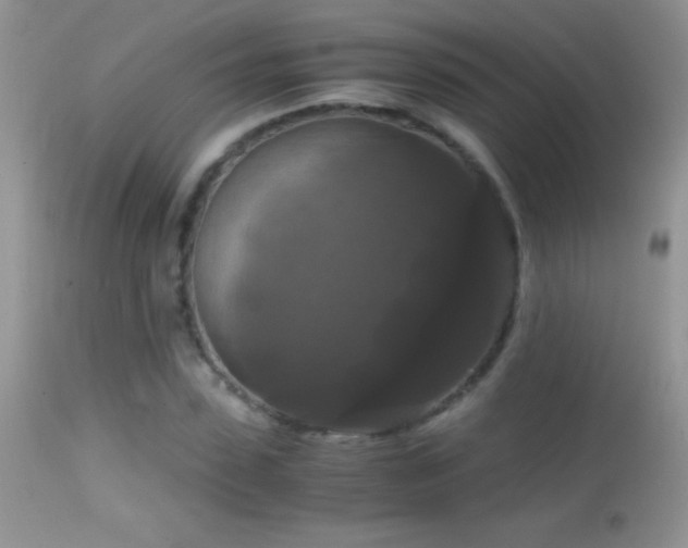 X0000114640923200910201439