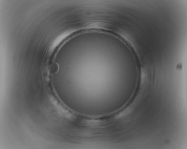 X0000114640925200910201439